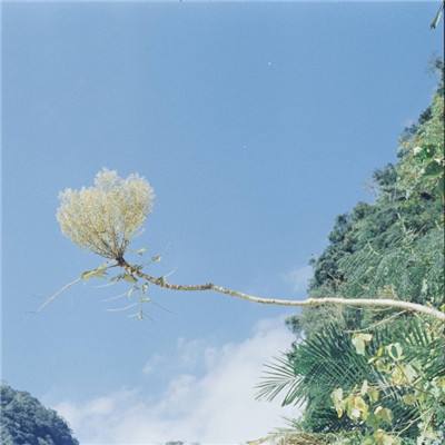 苍穹少年三国志手游